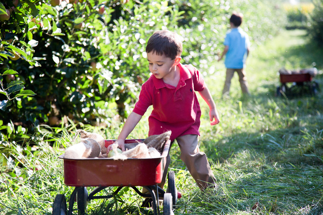 child gardening with wagon doing community service